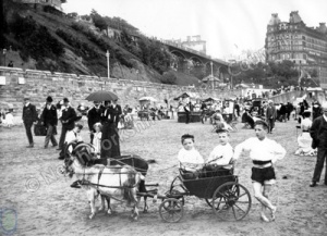 Goat Cart on South Sands, Scarborough